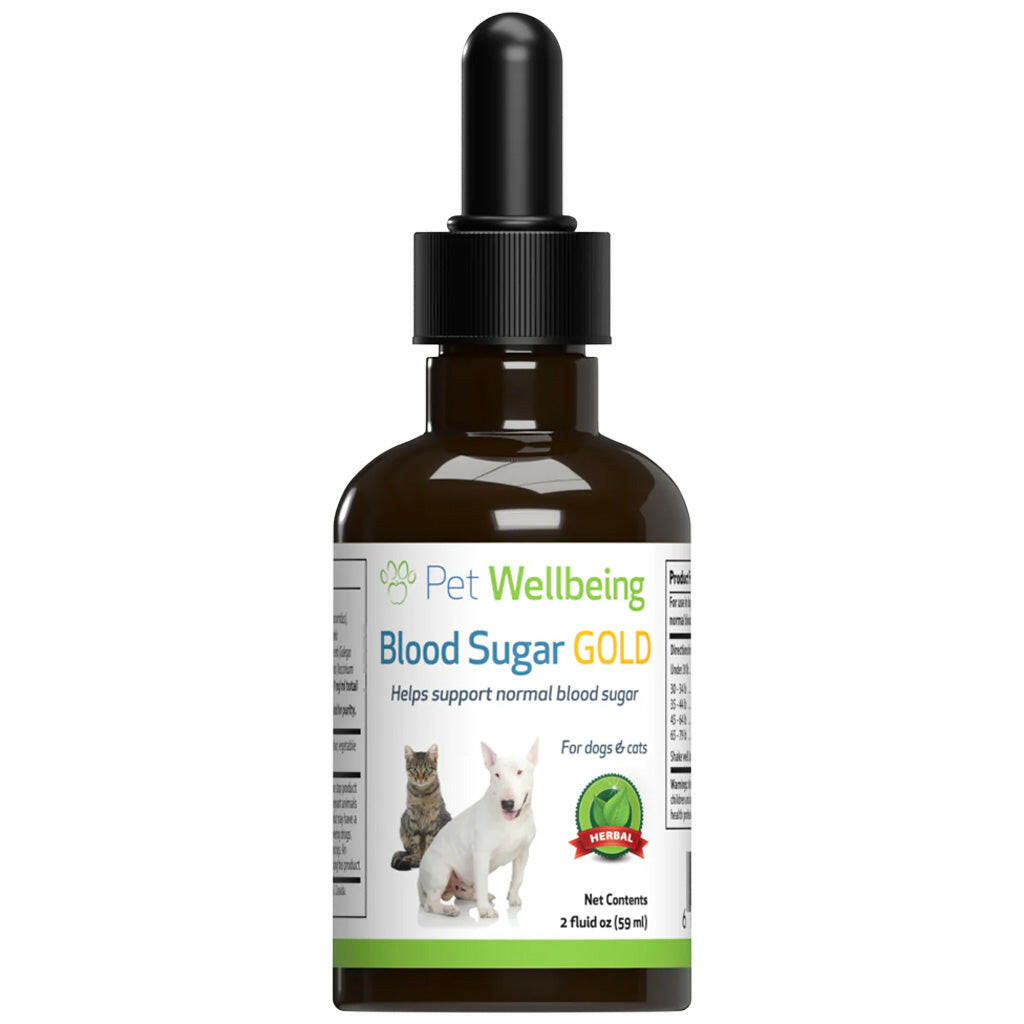 Diabetic Dog Supplements: Blood Sugar Gold