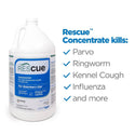 Rescue Disinfectant Concentrate Deodorizer (1 Gallon)