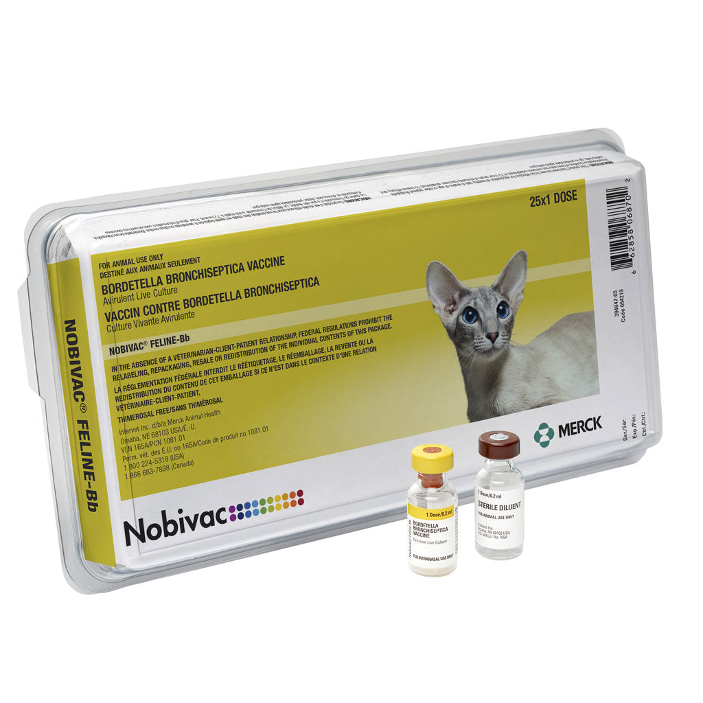 Nobivac Feline-BB | Trusted Respiratory Vaccine for Cats