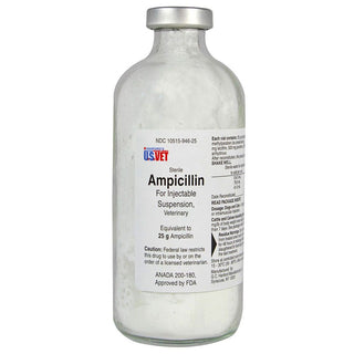 Ampicillin (generic) Injection 25mg (200 ml)