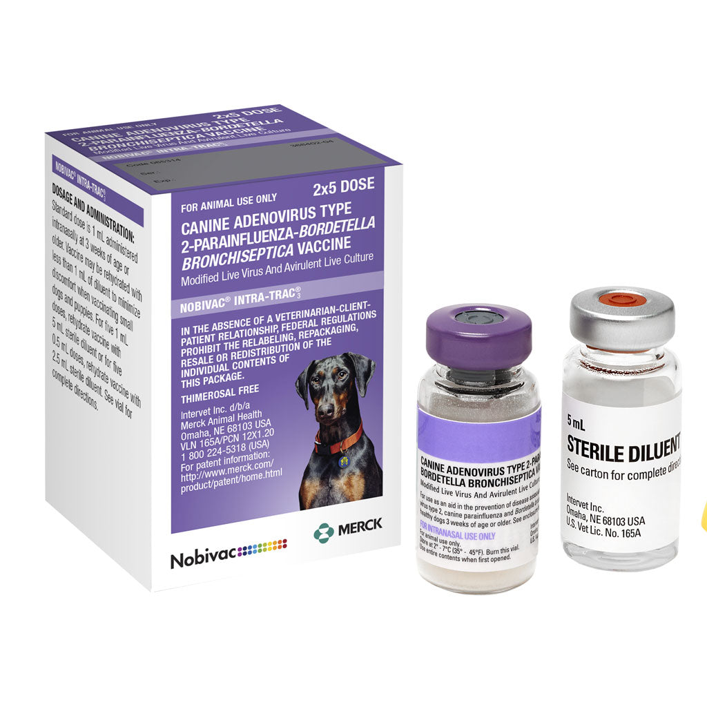 Nobivac Intra-Trac 3 Vaccine | Canine Respiratory Protection