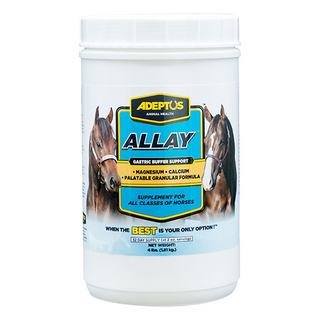 Adeptus Allay Digestion Buffer & Calming Supplement For Horses (4 lb)