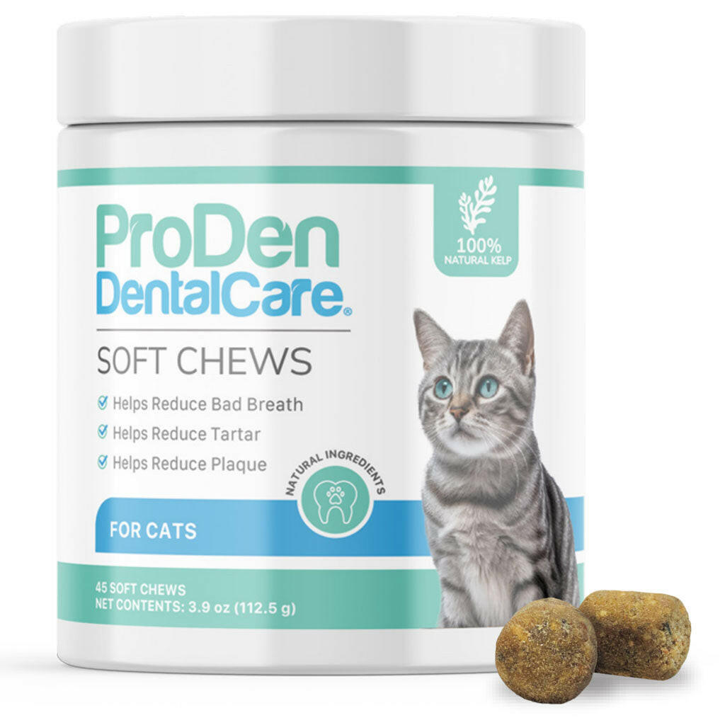 Dental Health for Cats: ProDen Dental Chews for Cats | HardyPaw