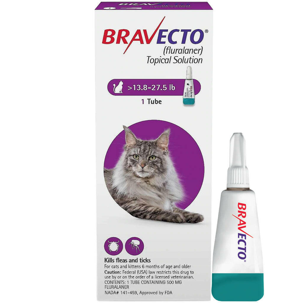 Bravecto for Cats lbs 12-Week Flea Tick Treatment