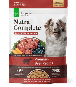 Online Dog Food Supplies
