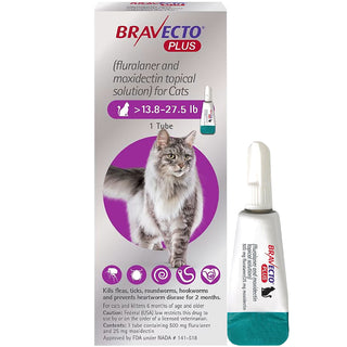 Packaging of bravecto plus for cats sold at hardy paw