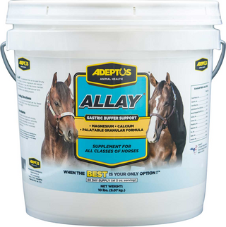 Adeptus Allay Digestion Buffer & Calming Supplement For Horses (10 lb)