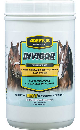 Adeptus Invigor Prebiotic Digestion Supplement for Horses (3 lb)
