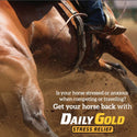 Redmond Daily Gold Stress Relief Natural Healing Clay for Gastric Ulcers for Horses features