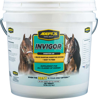 Adeptus Invigor Prebiotic Digestion Supplement for Horses (10 lbs)