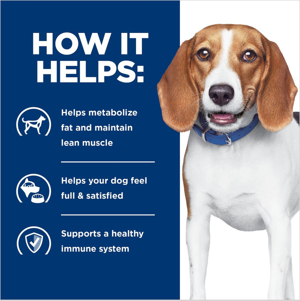 Hill's Prescription Diet r/d Weight Reduction Canned Dog Food