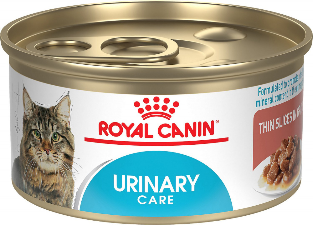 Royal Canin Feline Care Nutrition Urinary Care Thin Slices in Gravy Ca - Main Image