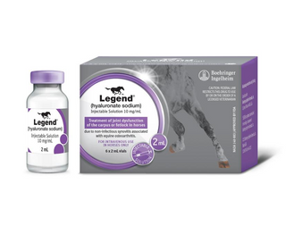 Legend injection for horses