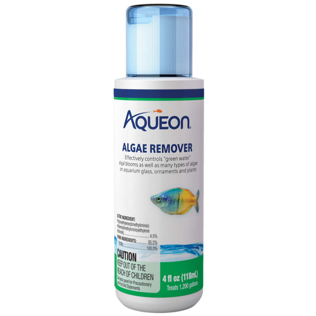 plastic plant and ornament cleaner for aquariums Buy Aqueon Algae Remover 4 oz – Controls Green Algae Fast