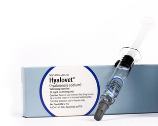 Hyalovet (Hyaluronate Sodium) Injection