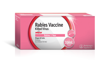 Imrab 1 Year Rabies Vaccine (10ml x 5 vials, 50 doses)