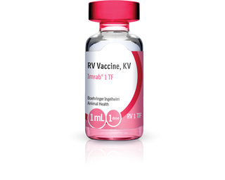 Imrab 1 TF Vaccine, 1 ml x 50 doses