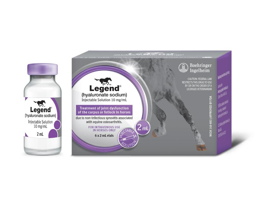 injectable glutathione for horses Legend Injectable Solution (Hyaluronate Sodium) for Horses, 2 ml, Single  Vial