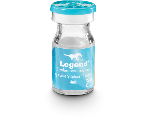 Legend (Hyaluronate Sodium) Injectable Solution, 4 ml
