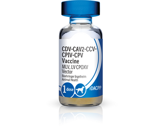 Recombitek C4/CV (rDAPPC) Vaccine