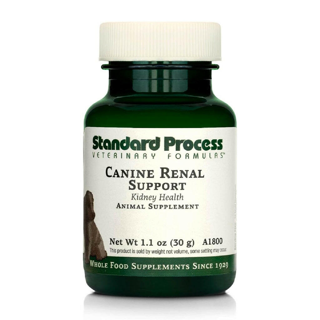 Kidney Care: Standard Process Renal Support for Dogs