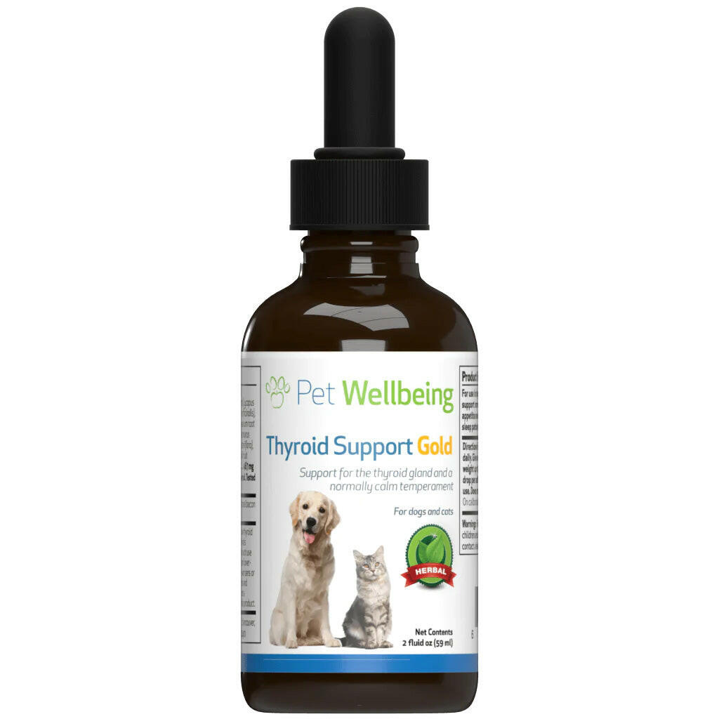Herbal Thyroid Support for Cats: Thyroid Gold