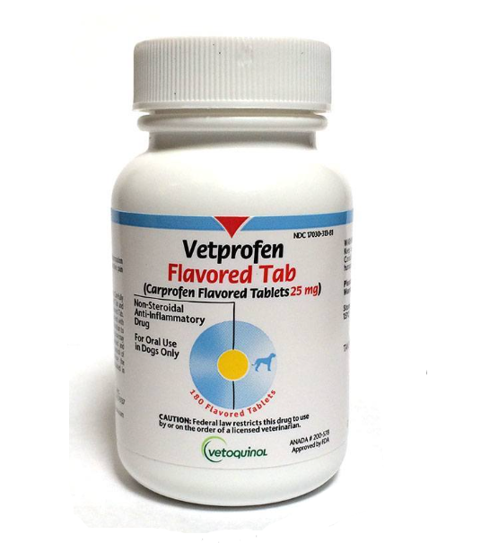Vetprofen 100mg 2024