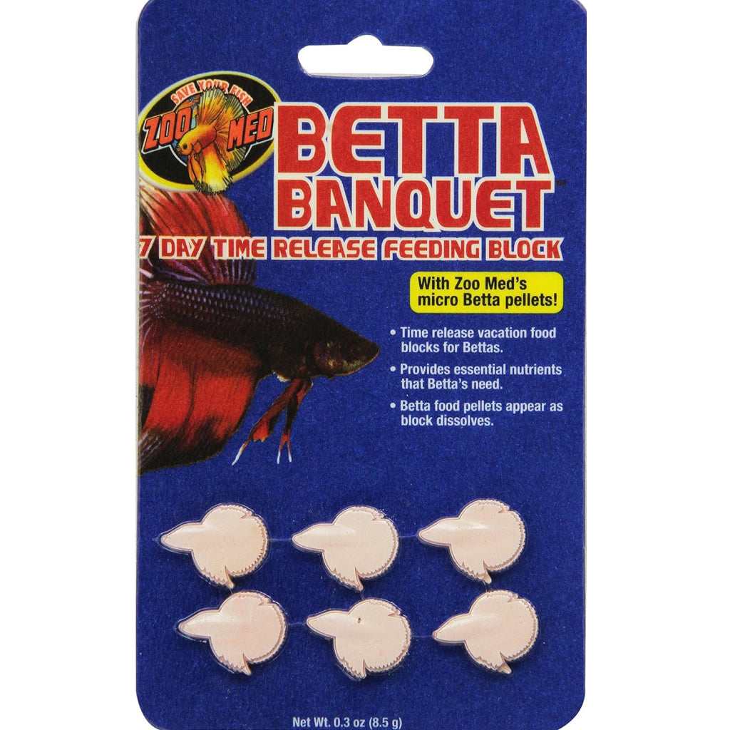 betta fish subscription box Penn Plax Cascade Starter Kit or small space Zoo Med Betta Banquet Blocks
