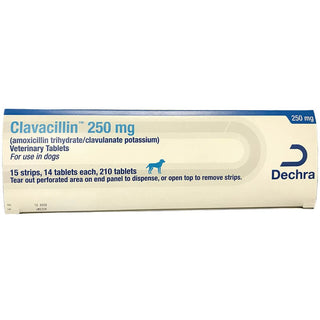 Clavacillin (Amoxicillin Trihydrate/Clavulanate Potassium) 250mg