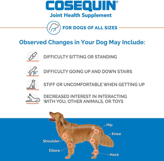 Nutramax Cosequin Senior Joint Health Supplement for Senior Dogs - With Glucosamine, Chondroitin, Omega-3 for Skin and Coat Health and Beta Glucans for Immune Support, 60 Soft Chews
