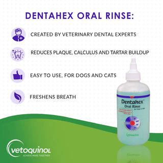 Dentahex Oral Hygiene Rinse (8 oz)