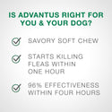 Advantus Flea Oral Treatment for Large Dogs (23-110 lbs)