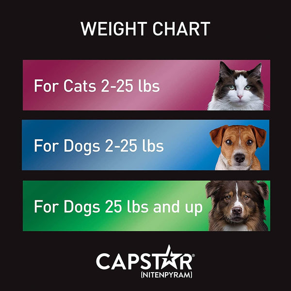 Capstar (Nitenpyram) Oral Flea Treatment for Dogs over 25 lbs