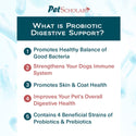 Pet Scholars Probiotic Digestive Support for Dogs & Cats (2.12 oz)