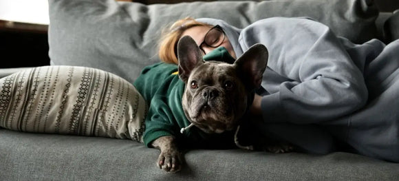 12 Natural Pet Remedies for Flea and Tick Control