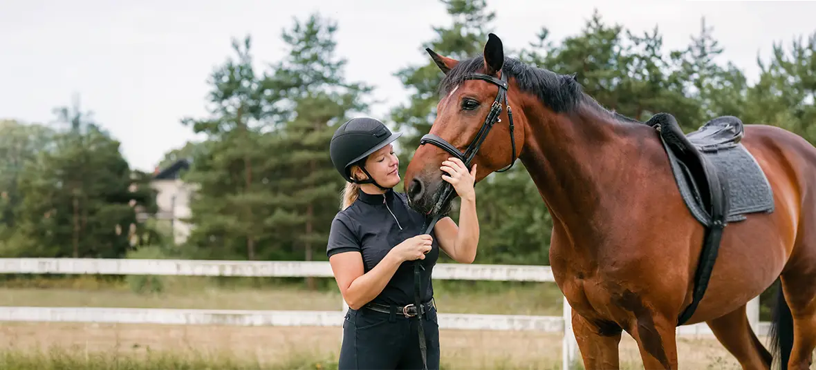 15 Best Horse Treats for Training