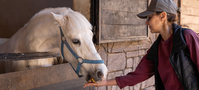 15 Best Treats for Horses: Healthy Horse Treats and Apple Treats for Horses