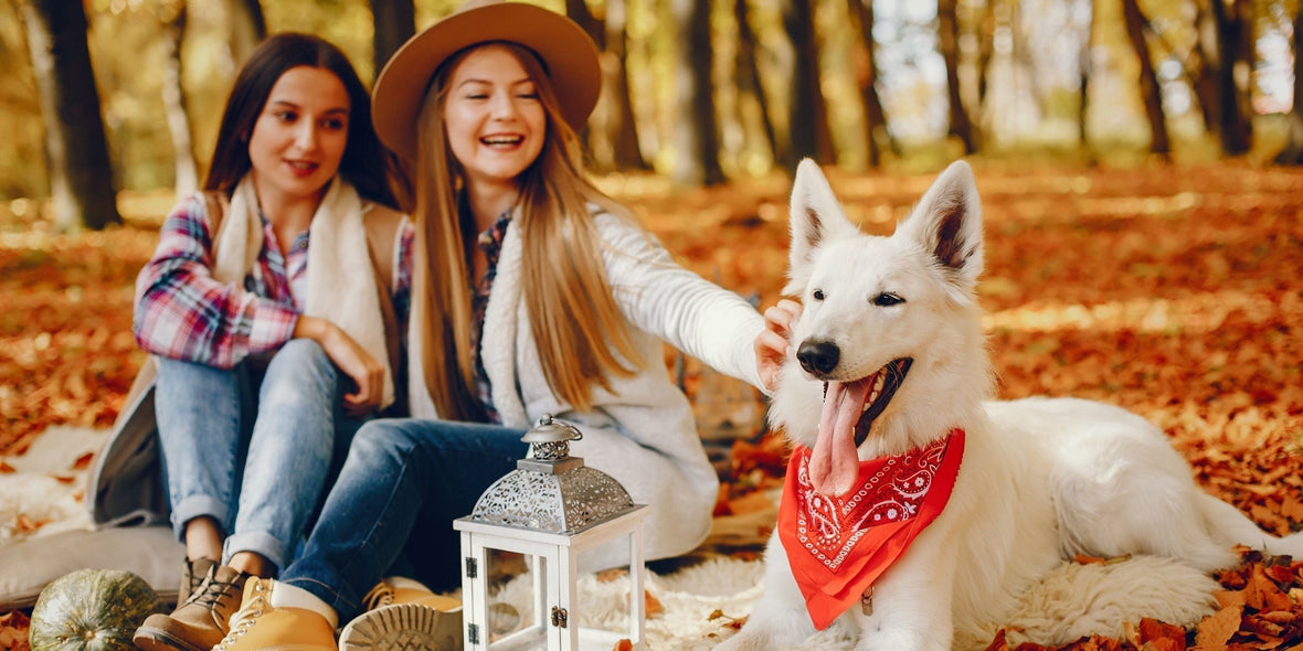 two girls sitting with their dog in wooded park