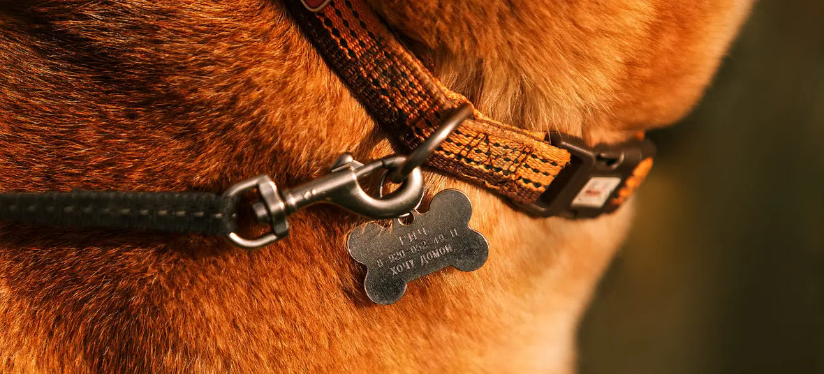 a dog ID tag with it's details on it.
