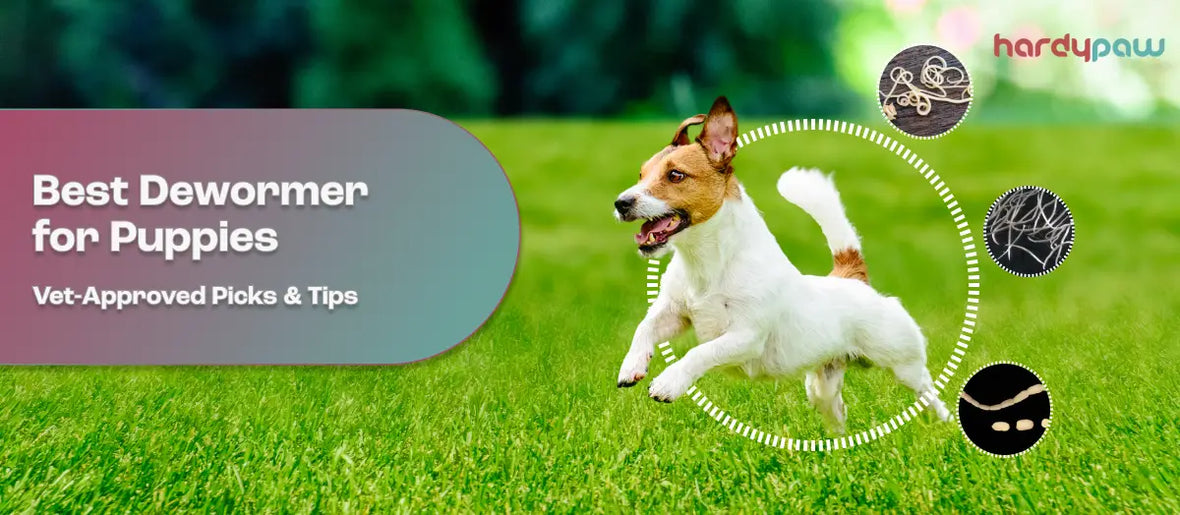 7 Best Dewormers for Puppies in 2026 - Vet-Approved Picks & Tips