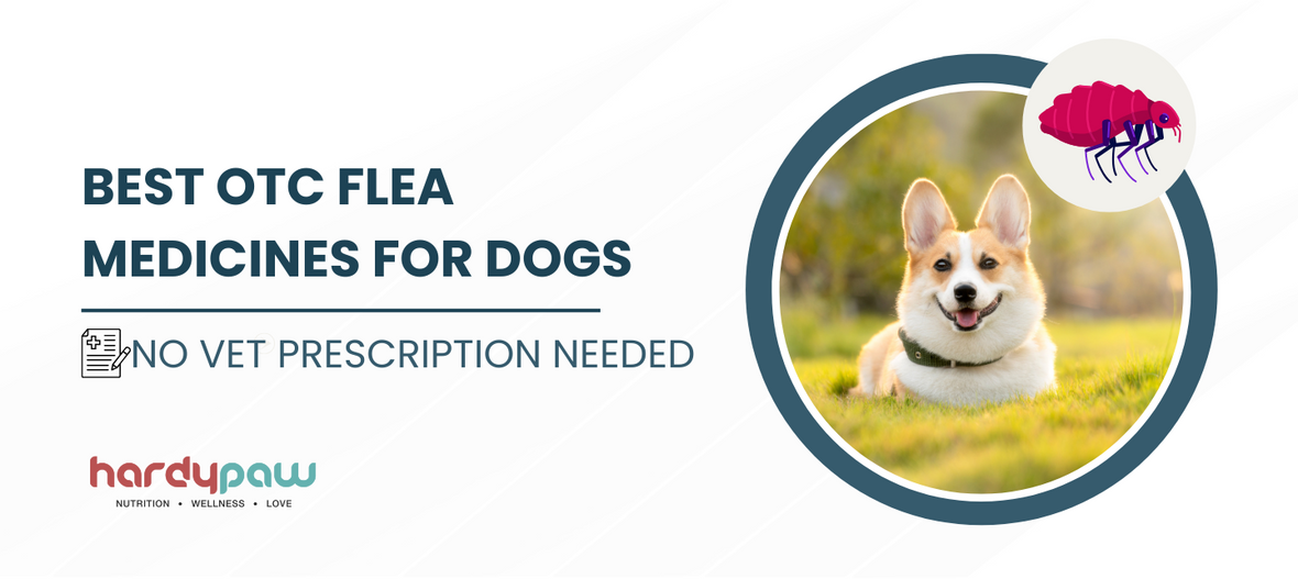 Best OTC Flea Medicines for Dogs 2025 [No Vet Prescription Needed]