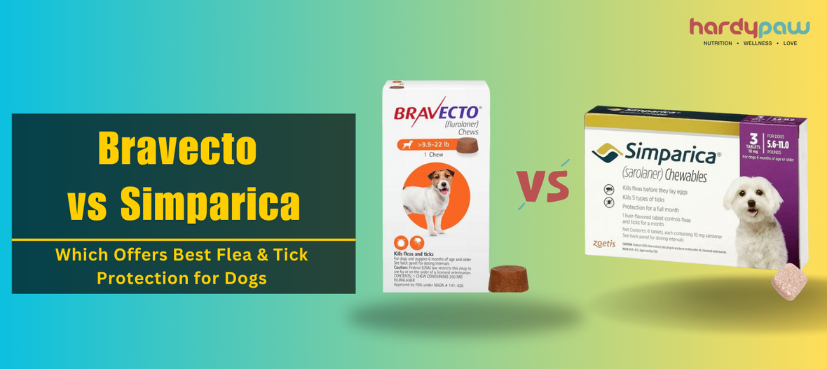 Bravecto vs Simparica - Which Offers Best Flea & Tick Protection for Dogs