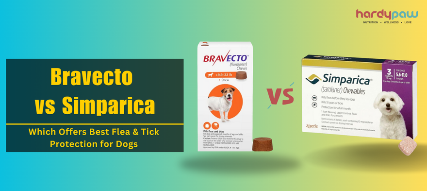 Bravecto vs Simparica - Which Offers Best Flea & Tick Protection for Dogs