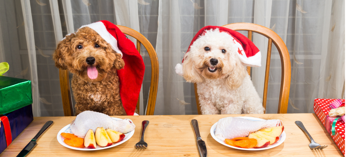 two dogs wearing Christmas hats sitting on the table with food in front of them.