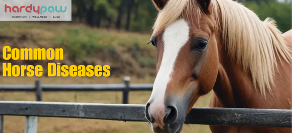 Common Horse Diseases - Symptoms, Treatments & Preventive Care