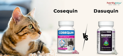 Cosequin vs. Dasuquin for Cats