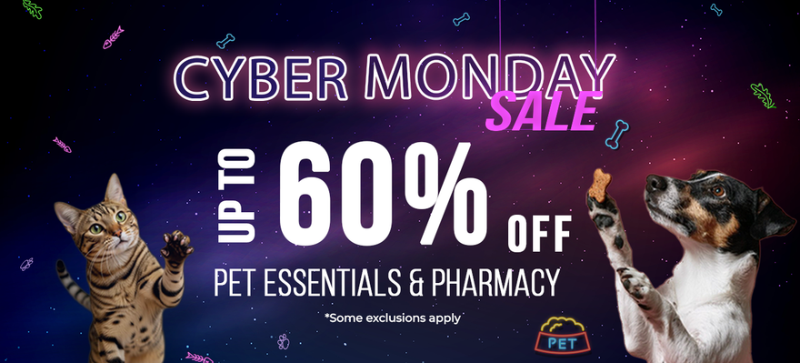 Cyber Monday Madness: Online Savings for Pet Owners