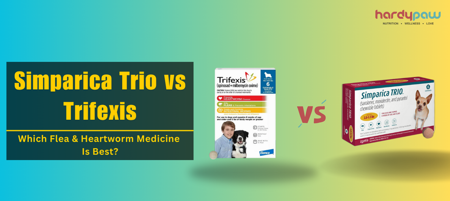 Simparica Trio vs Trifexis - Which Flea & Heartworm Medicine Is Best?