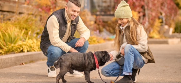 Fall Safety Tips for Pets Vets Wish You Knew