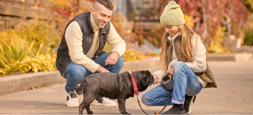 Fall Safety Tips for Pets Vets Wish You Knew